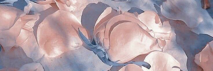 Chanaam_'s profile banner image