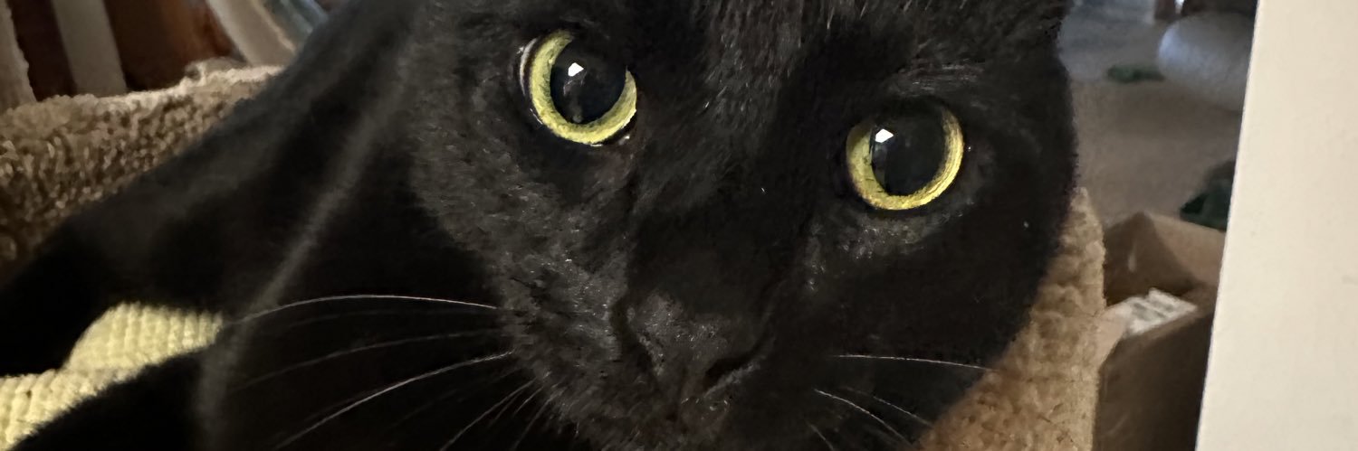 gratefulmd's profile banner image
