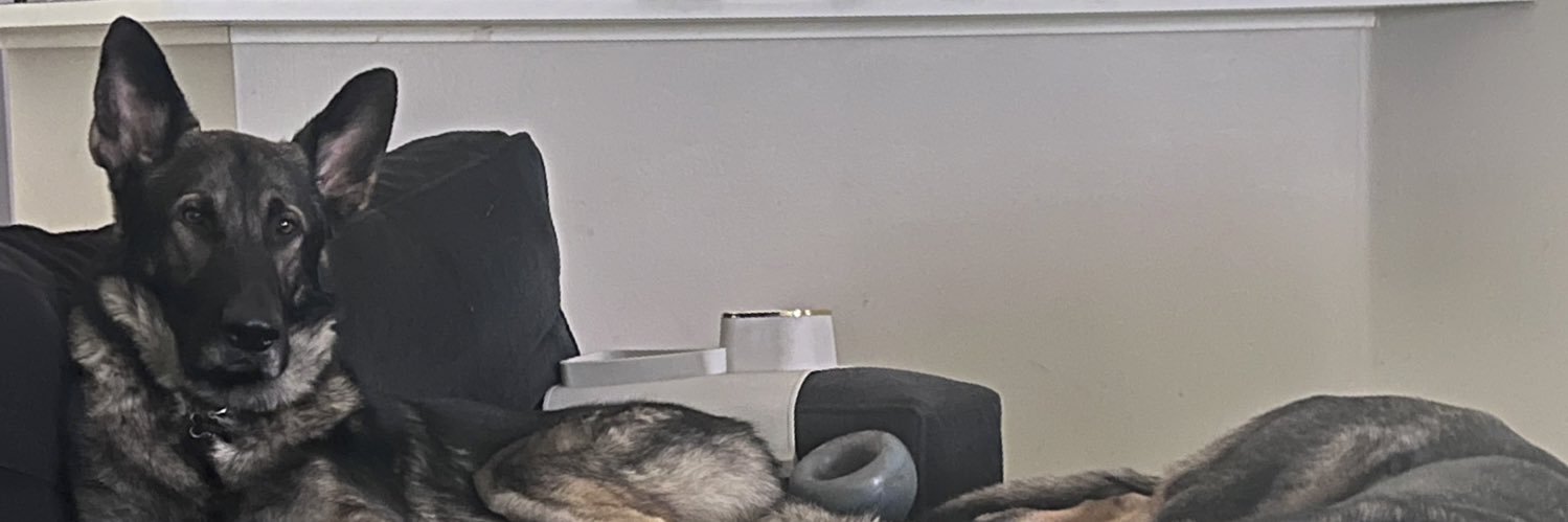 joeadamita's profile banner image