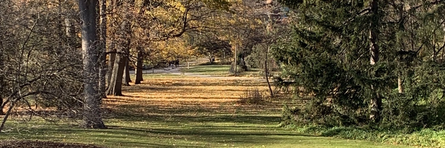 Laura Teicher Bonnell she/her banner