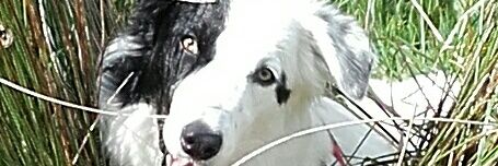 😘claredale😘 banner