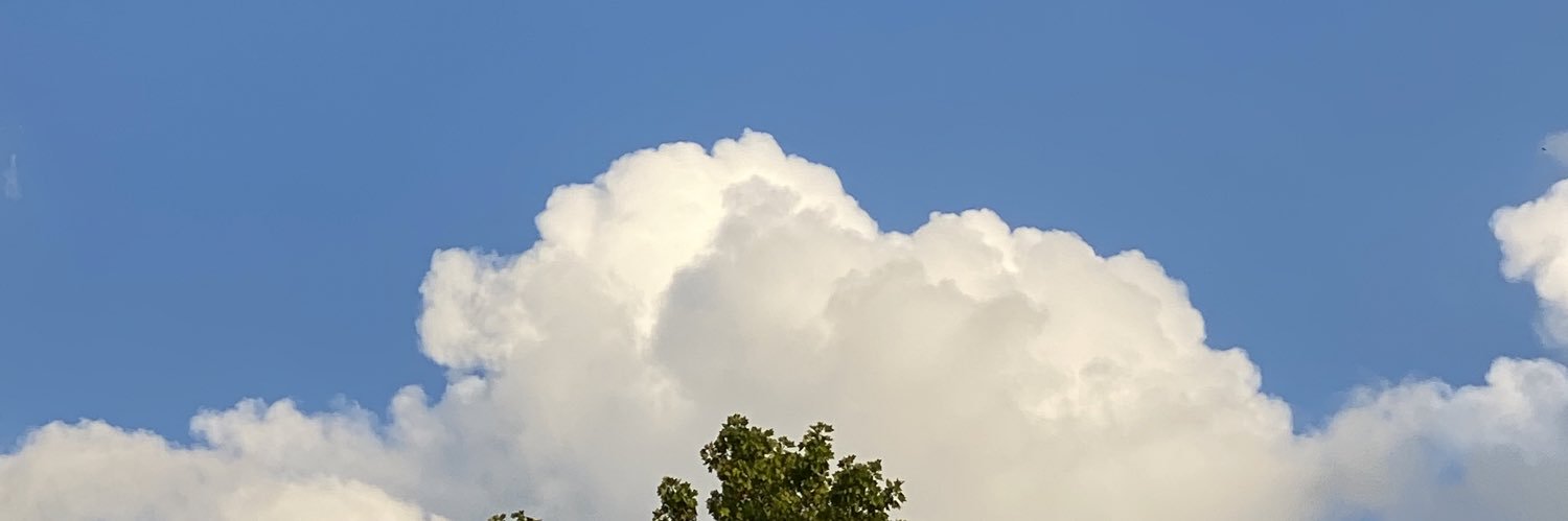 mekjry's profile banner image
