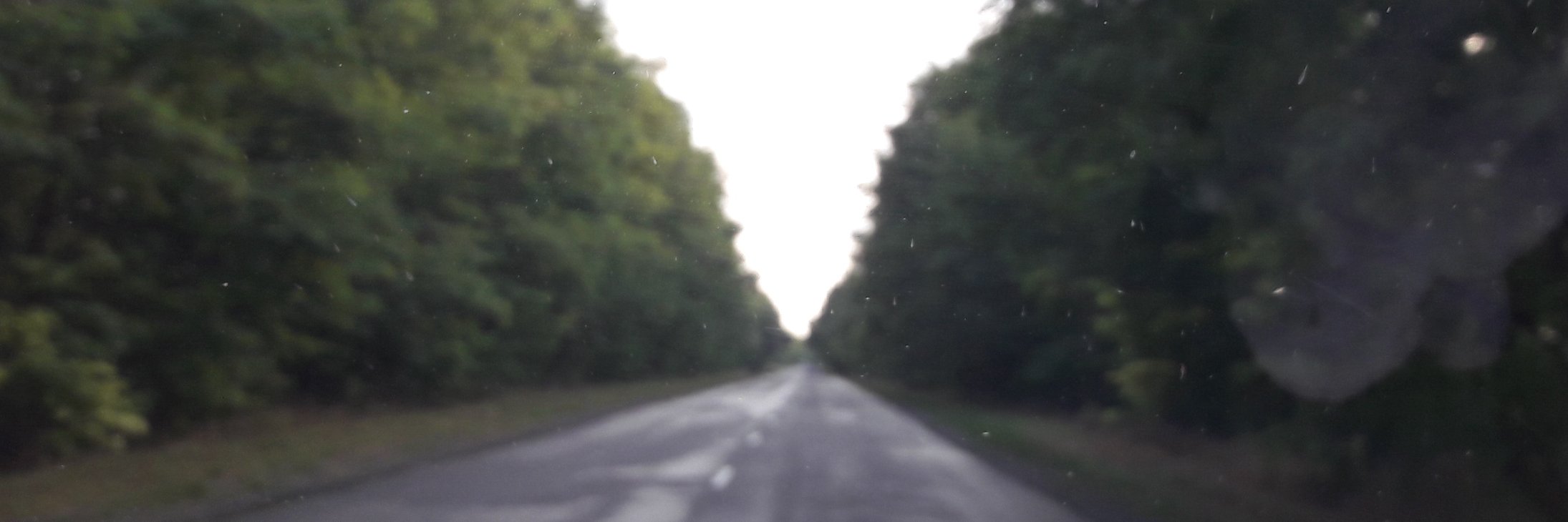 went_out's profile banner image