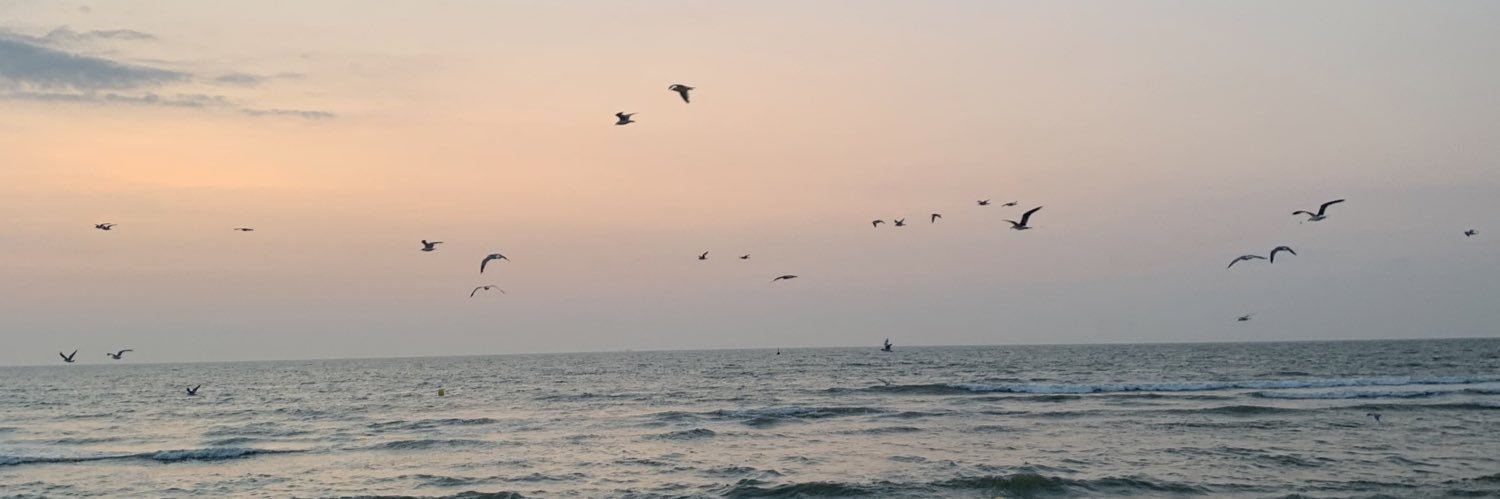 mcnockaert's profile banner image