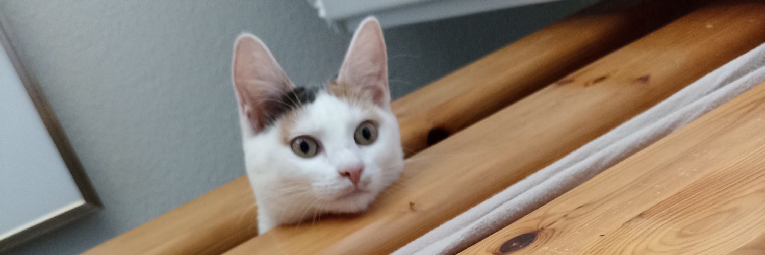 Pol1mno's profile banner image
