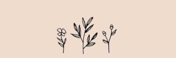MonicaVidal95's profile banner image