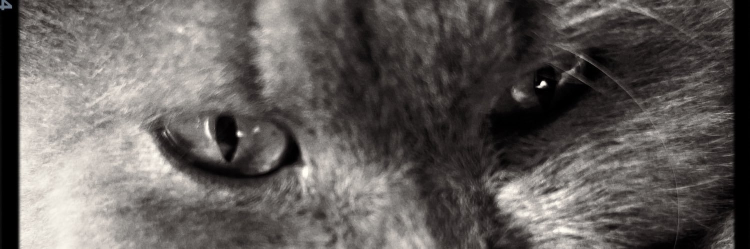 ssiri_95's profile banner image