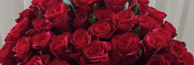 Jennaniston_86's profile banner image