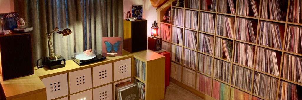 The Vinyl Constituency banner