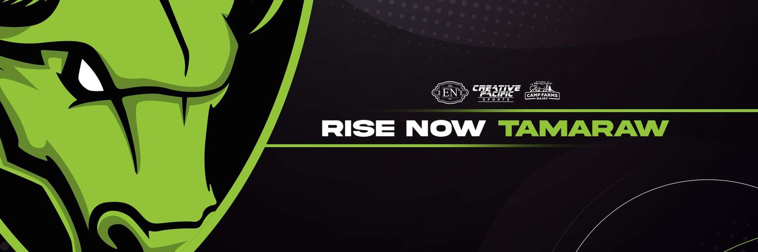 viceesportsph's profile banner image