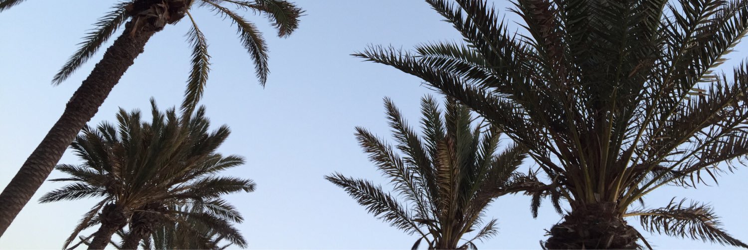 Kevin_H28's profile banner image