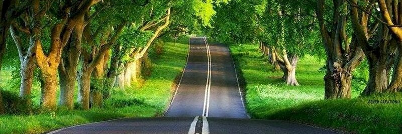 Daniela Maria banner