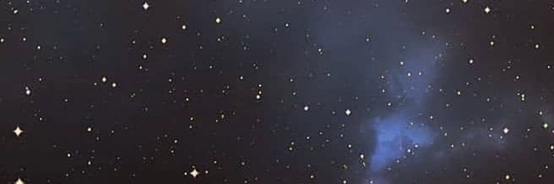 Kylene banner