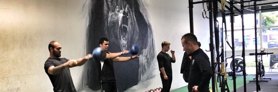 BearWolf Training banner