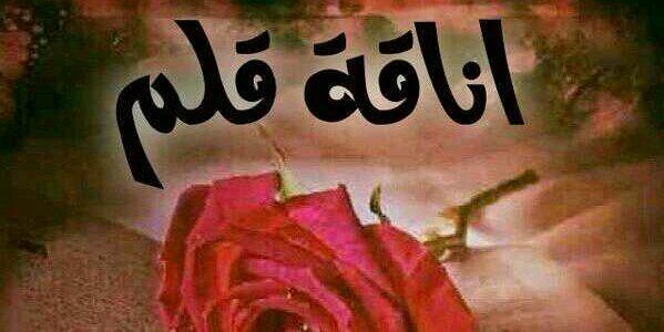 اناقة قلم♥️k350 banner