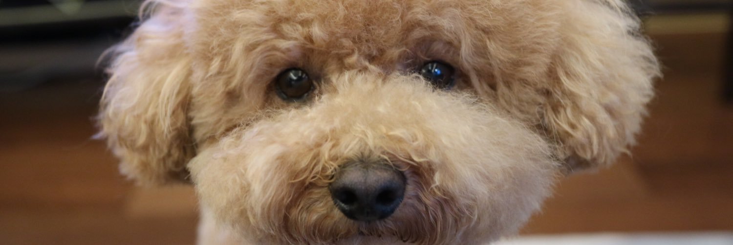 kmtmh_'s profile banner image