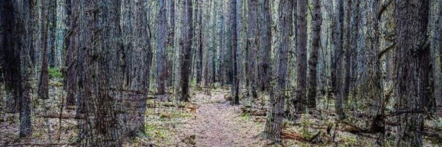 oboylephoto's profile banner image