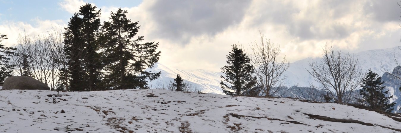 PuruPJ's profile banner image