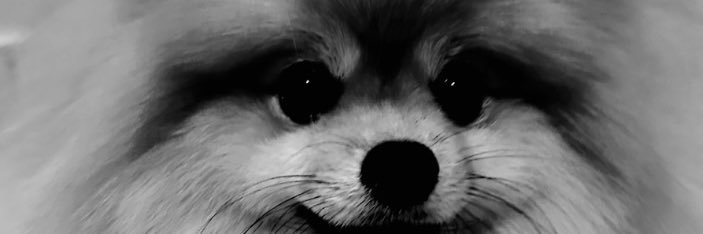 gabyfaava's profile banner image