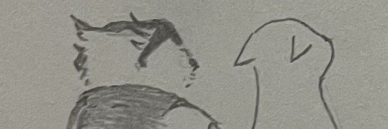 Tyobe_rigu's profile banner image