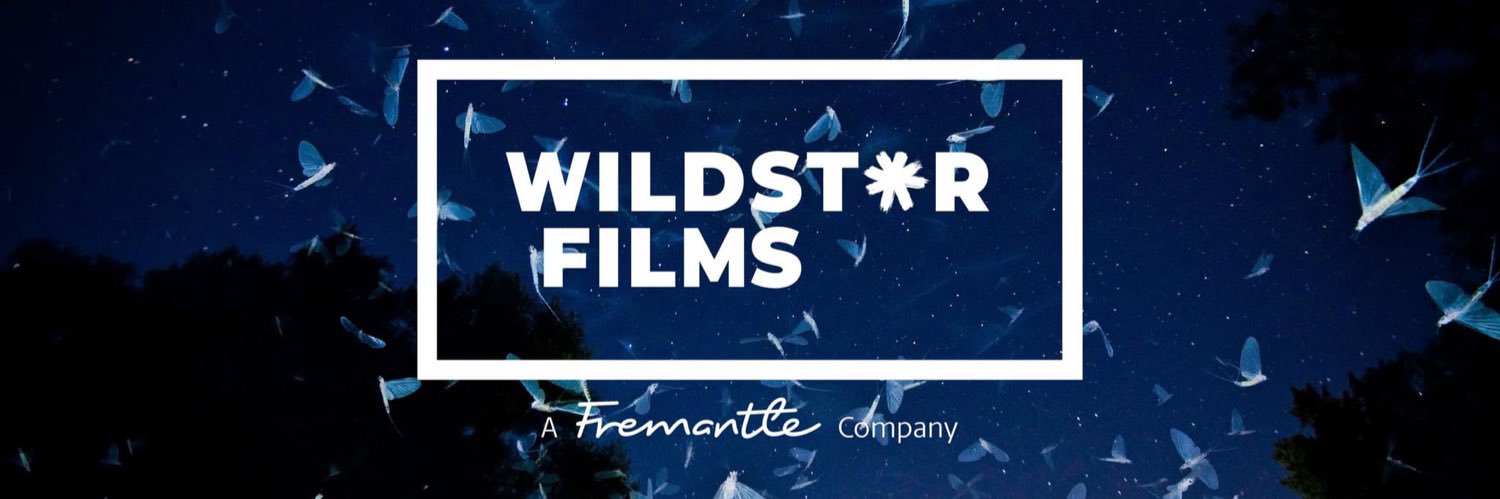 Wildstar Films banner
