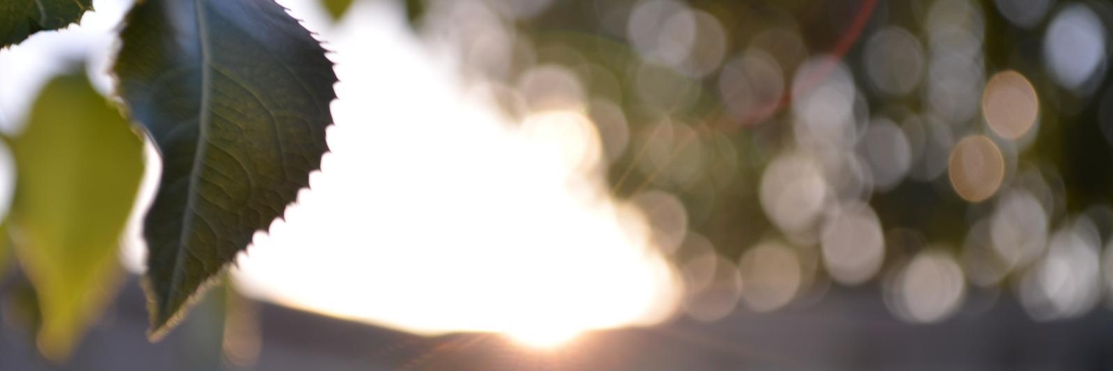 q_vector's profile banner image