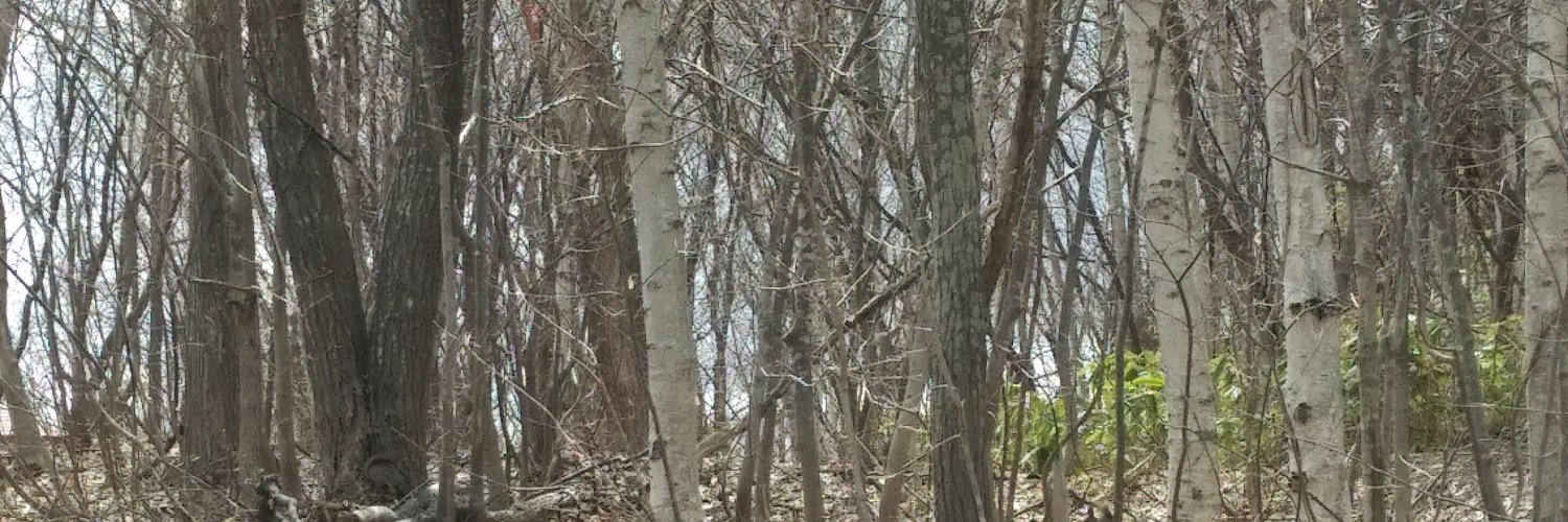 178george0's profile banner image