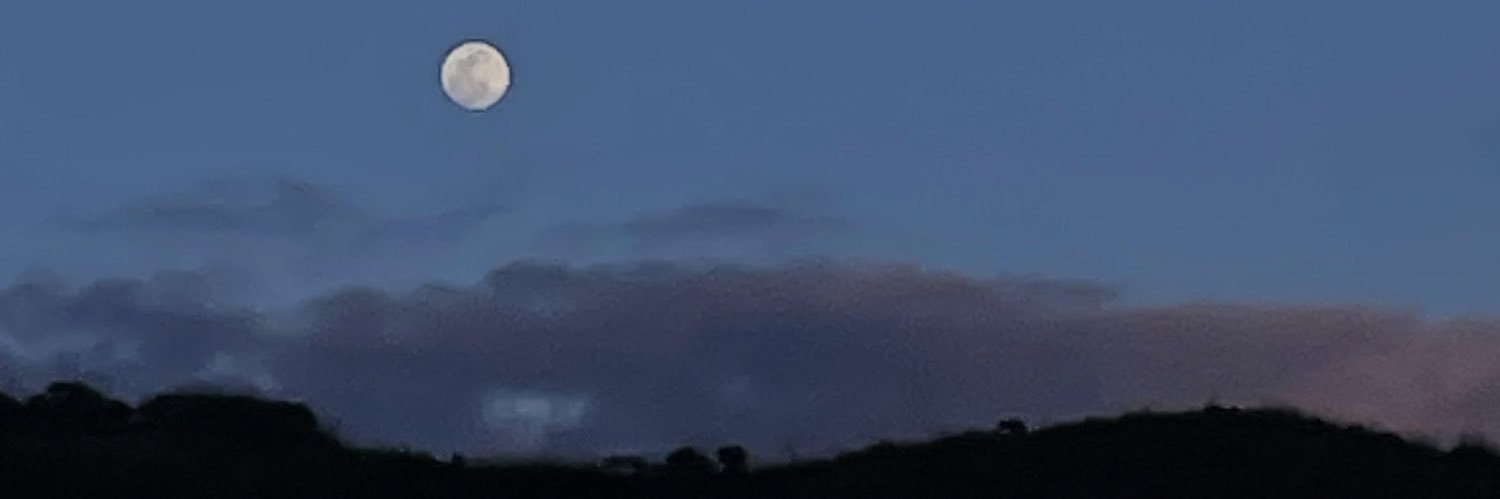 theycallmemeows's profile banner image