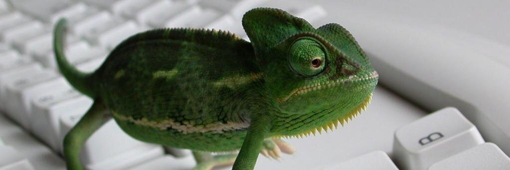 Simon le Geeko banner