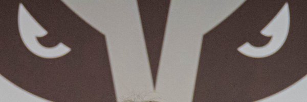 ElyseMacdonough Profile Banner