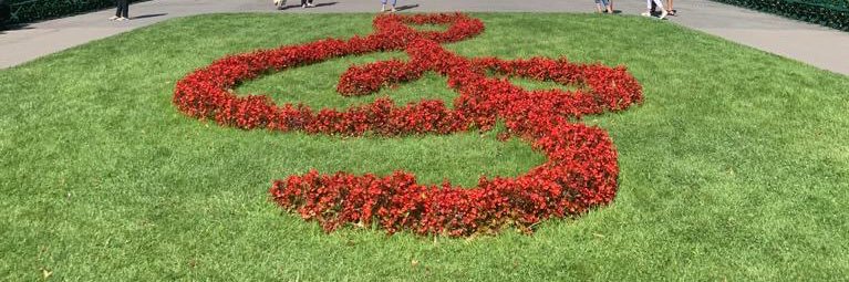 Lucas de Azevedo Santos banner