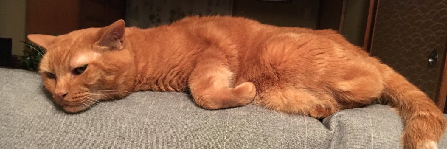 lilynvan's profile banner image
