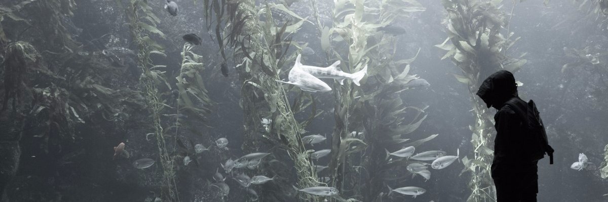 mike_graev's profile banner image