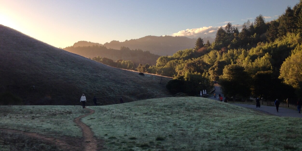 Michael Y. Lee banner