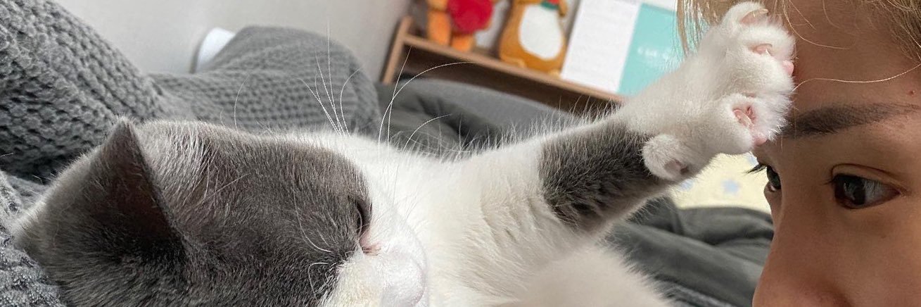 bluekbae's profile banner image