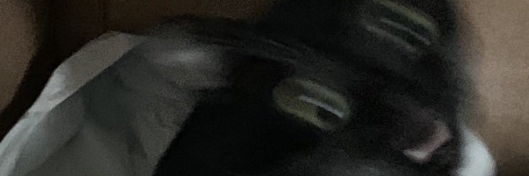 dyladacro's profile banner image