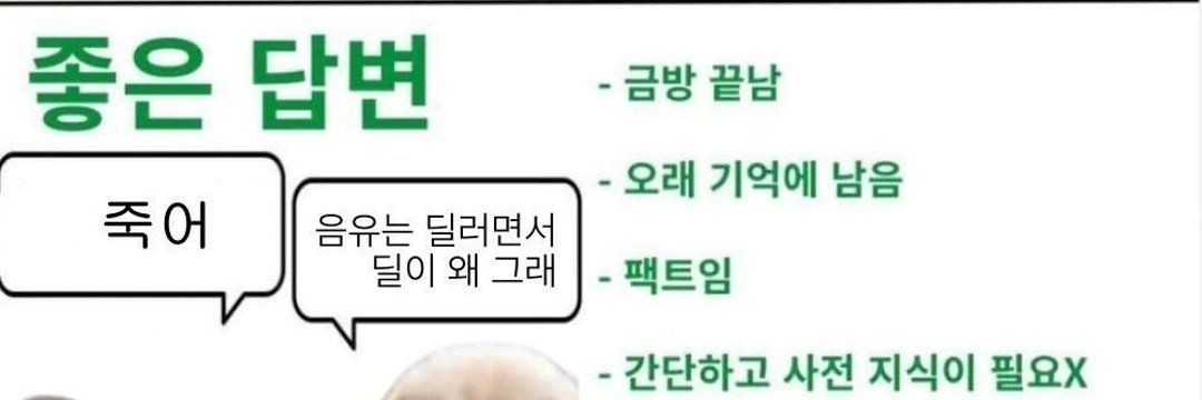 아우라 셀라 banner