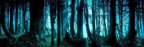 𝑵𝒐𝒓𝒓𝒖𝒌 banner
