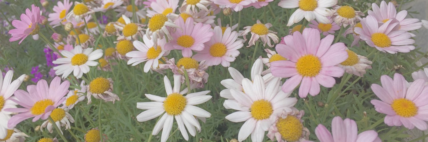 M_cheer0503's profile banner image