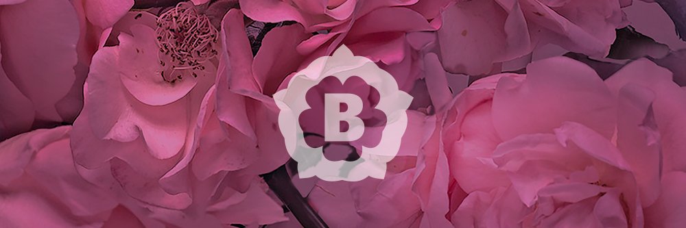 IvanoBocca's profile banner image