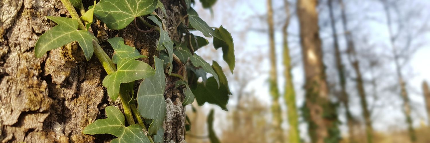 MathildeLorang's profile banner image