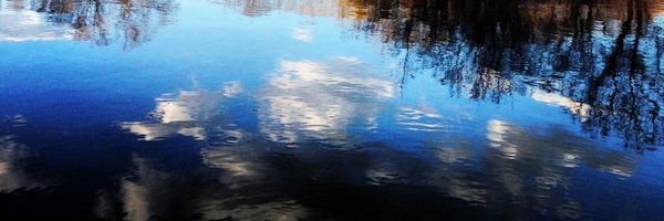DavidBCarter12 Profile Banner