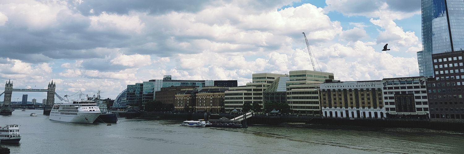 Allie Anderson banner