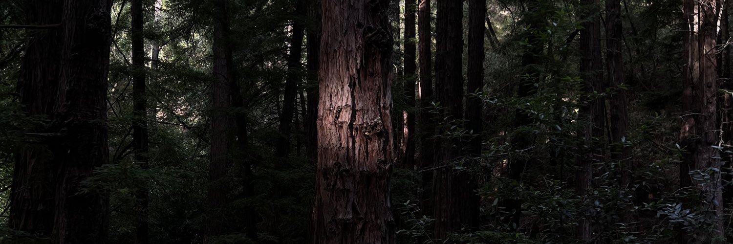 Bat (Atlantis 2/1 - 2/8) banner