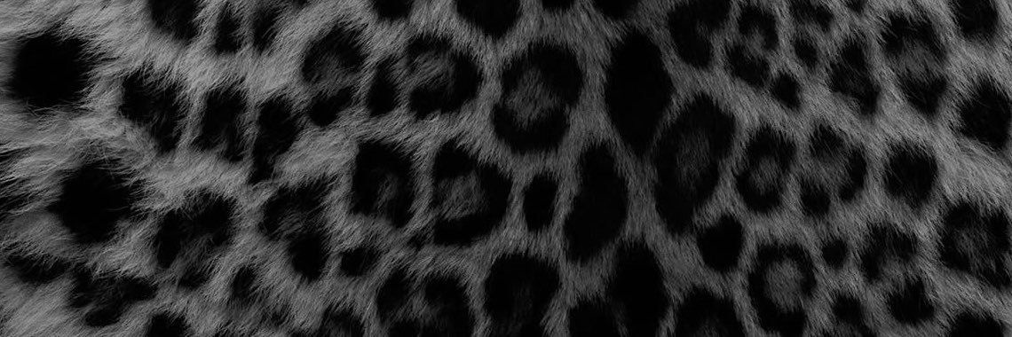 6lxis__'s profile banner image