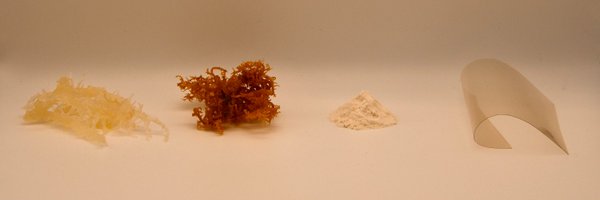 FlexSea1 Profile Banner