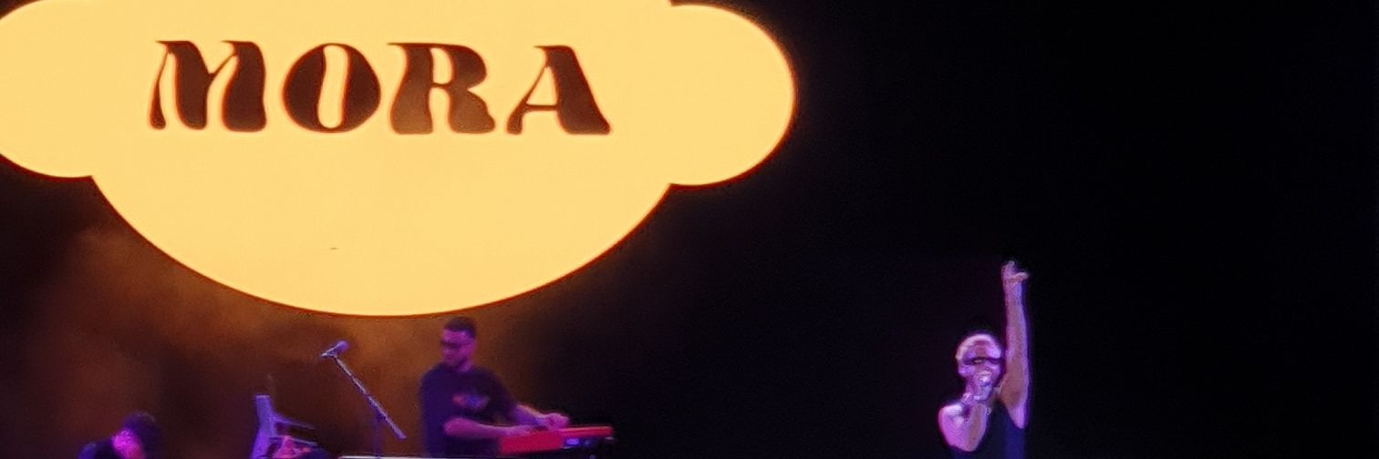 José Luis💯 banner