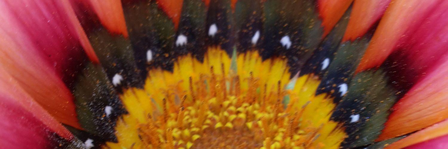 N_otb88's profile banner image