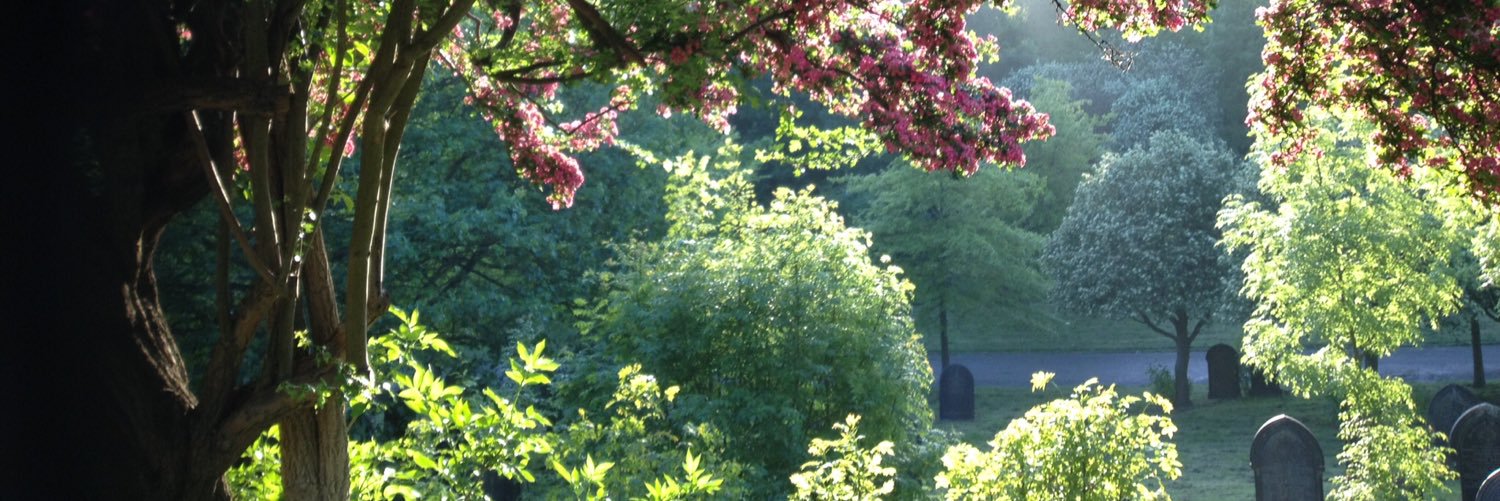 Clarencecliff's profile banner image