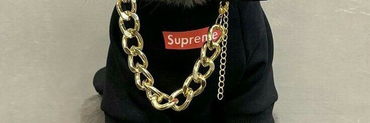 MissFatal1's profile banner image